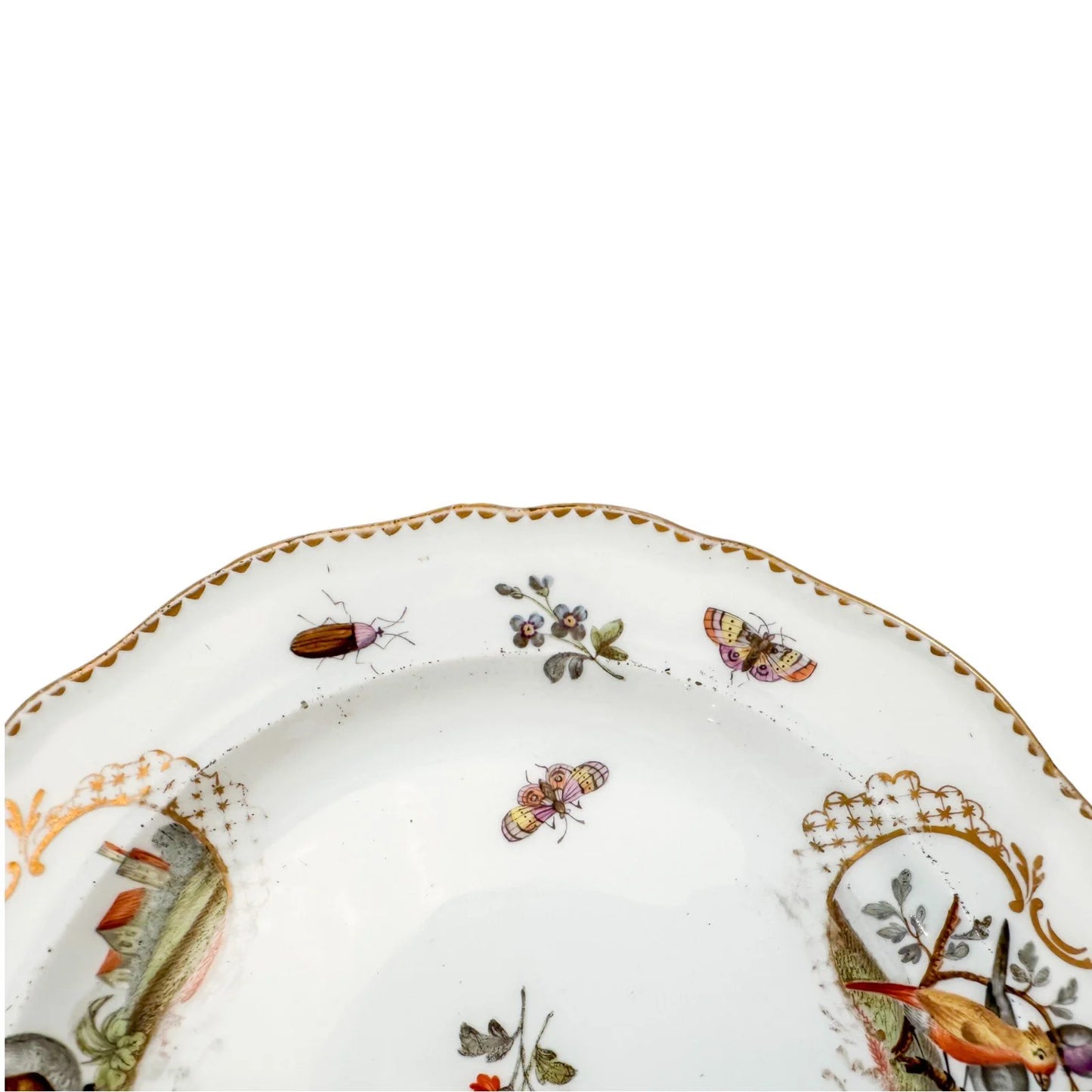 Meissen porcelain bird and insect design plate with gilt scalloped rim