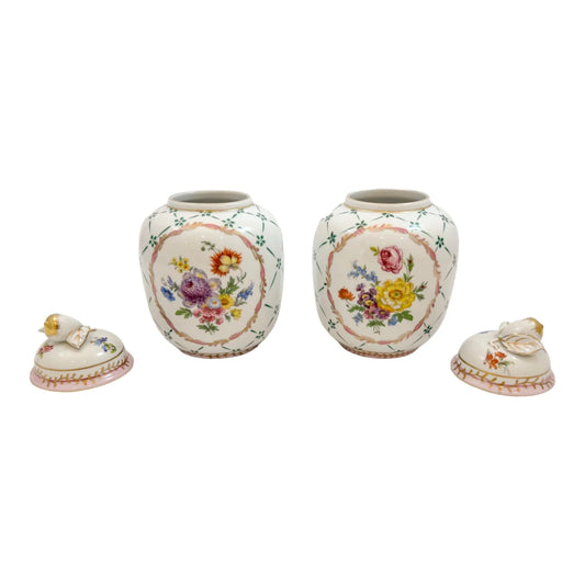 Pair of Royal Europe porcelain ginger jars with moulded lids and hand-painted with flowers