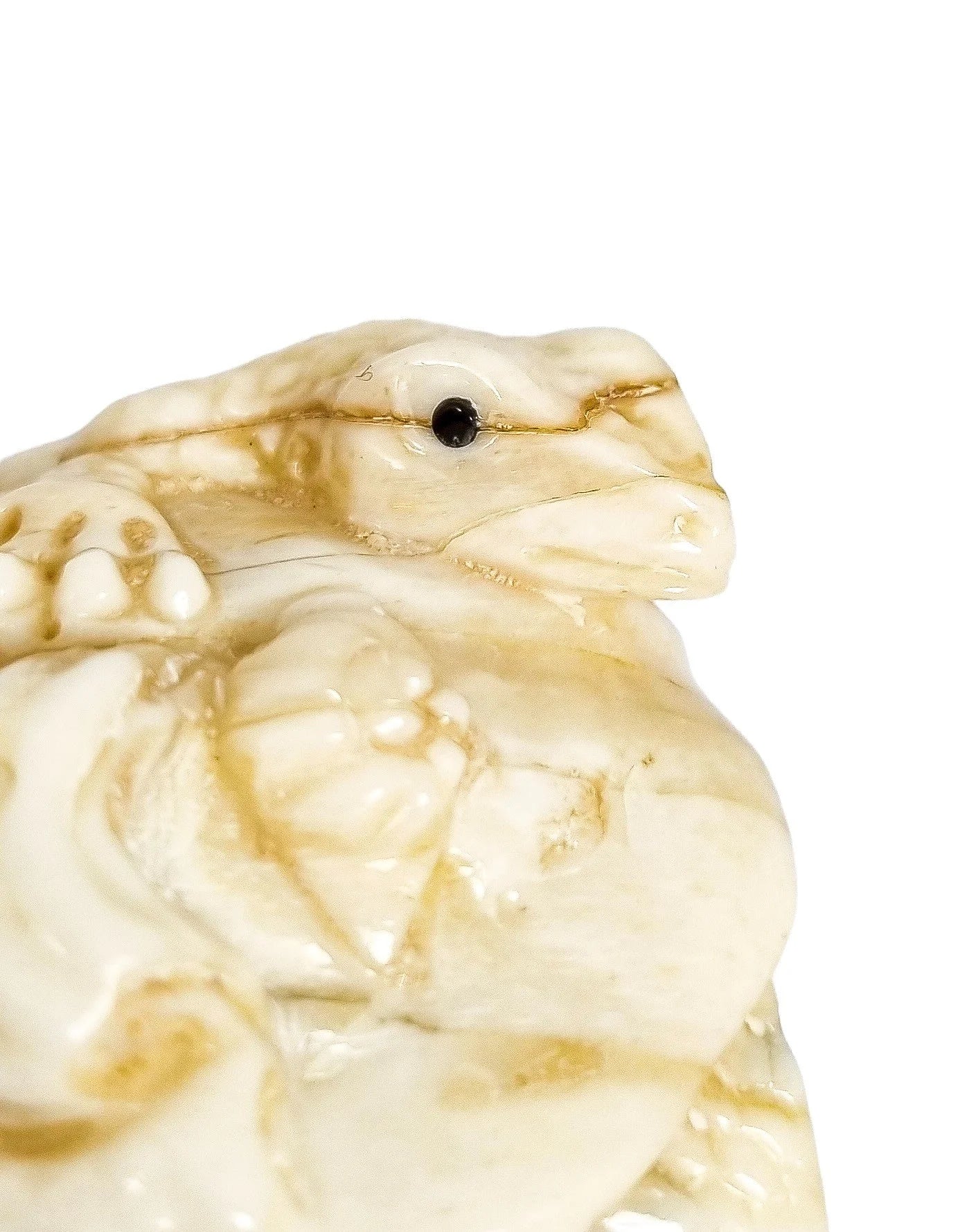 Meiji period Japanese bone signed okimono / netsuke, two toads and snake on pumpkin