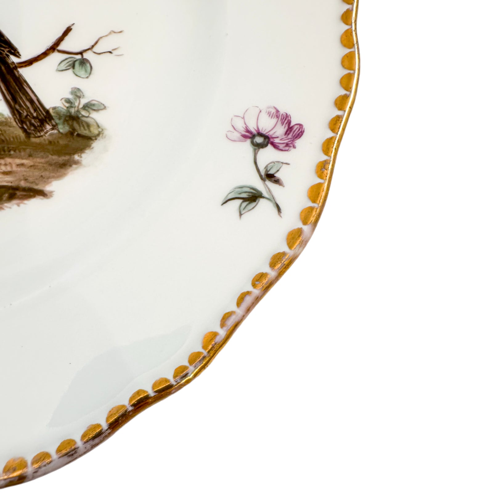 1820's Meissen porcelain scalloped rim plate with decoration of bird, insects and flowers