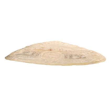 19th century pilgrim's souvenir from The Holy Land, mother of pearl carved shell of Jesus' Resurrection