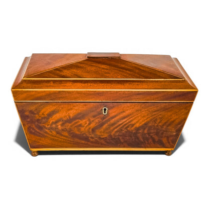Regency flame mahogany sarcophagus tea caddy