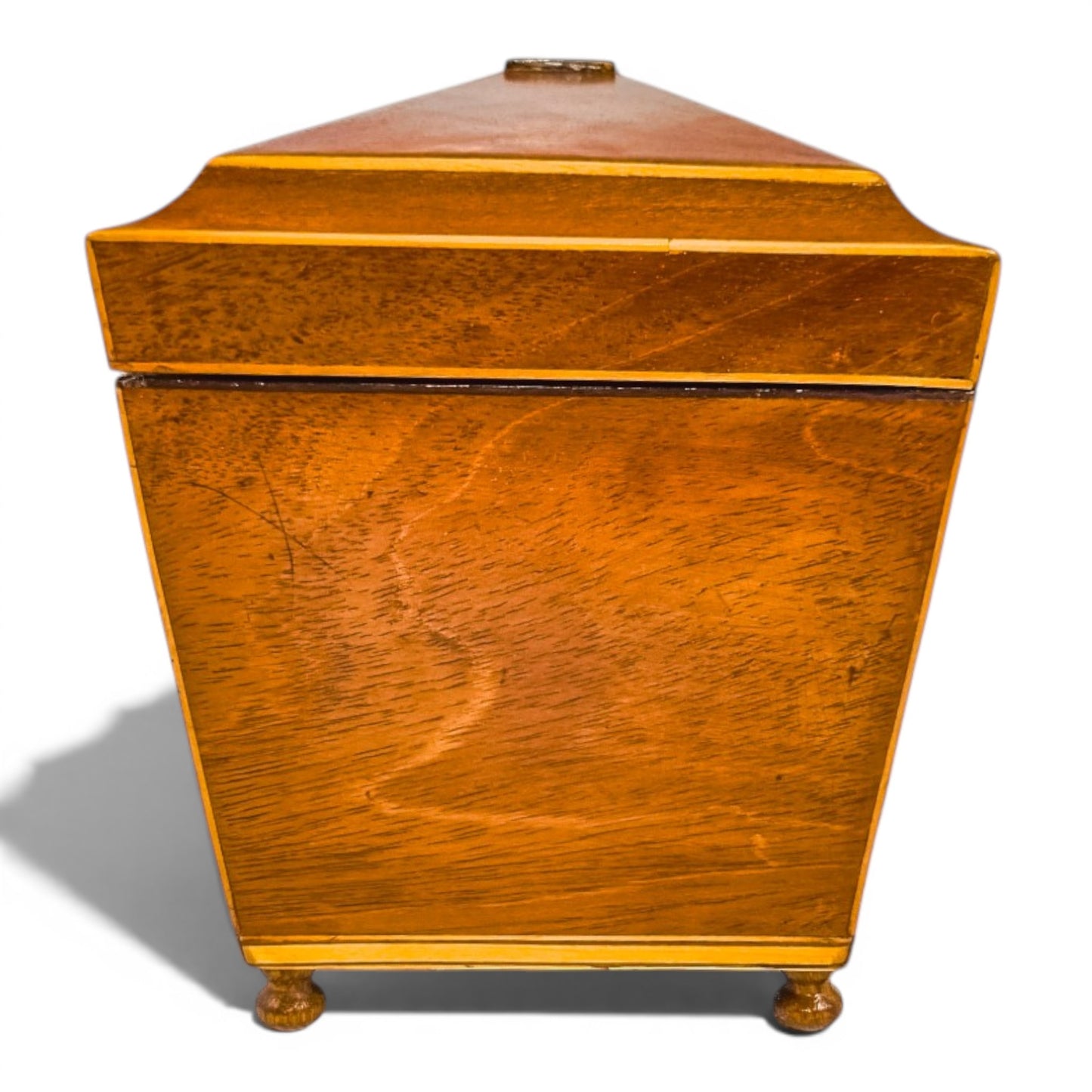 Regency flame mahogany sarcophagus tea caddy