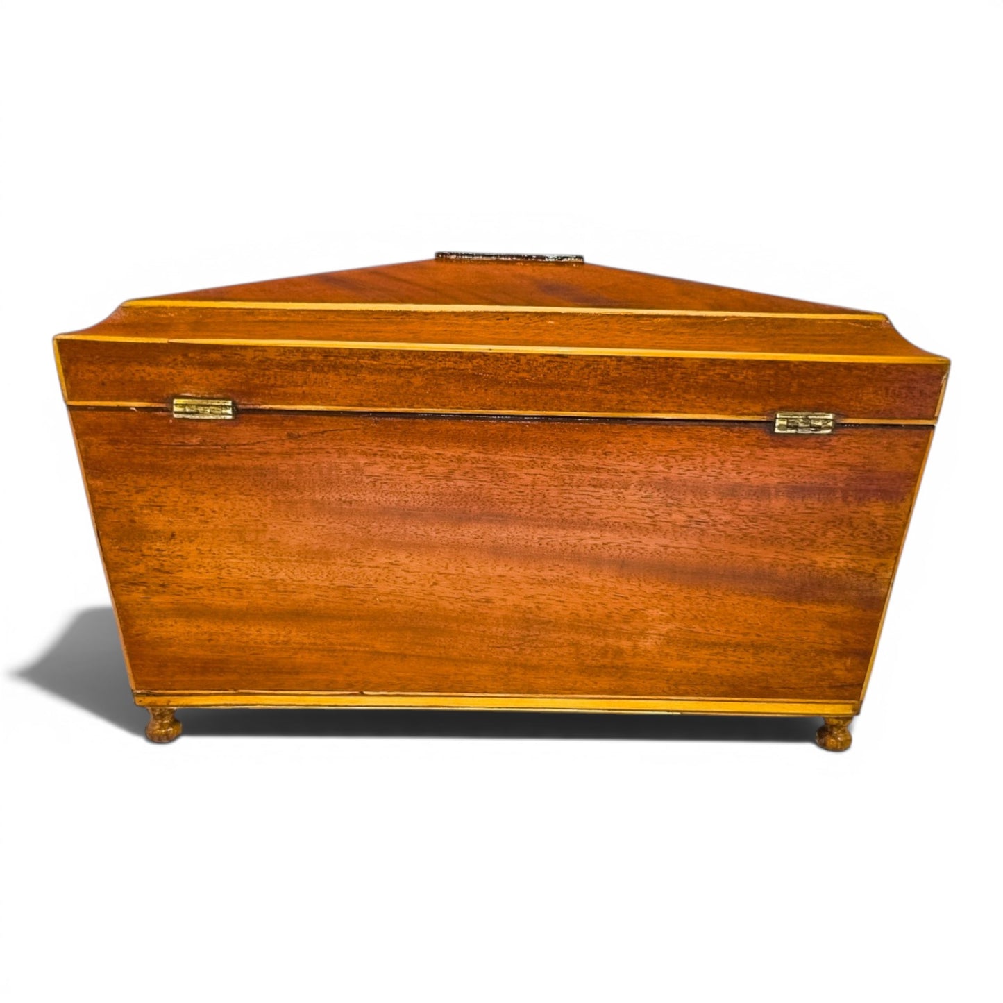 Regency flame mahogany sarcophagus tea caddy