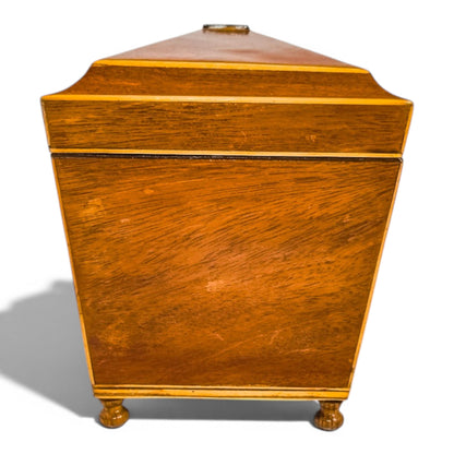 Regency flame mahogany sarcophagus tea caddy