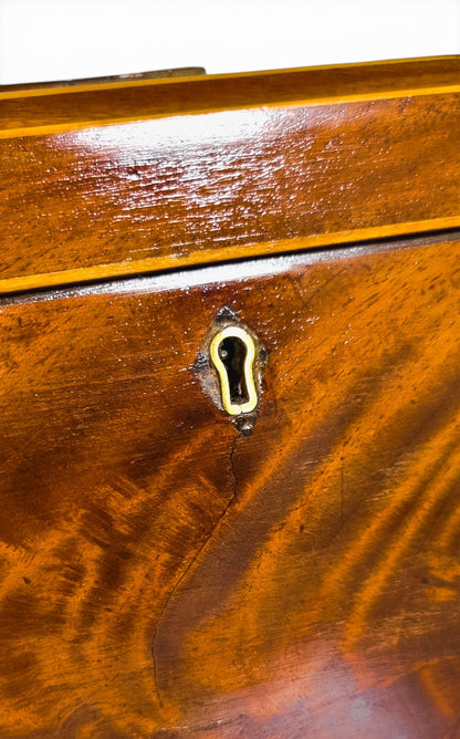 Regency flame mahogany sarcophagus tea caddy
