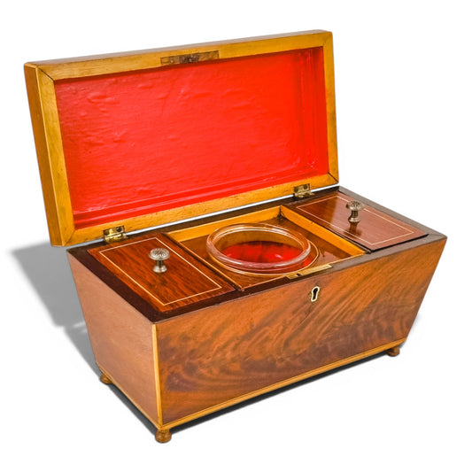 Regency flame mahogany sarcophagus tea caddy
