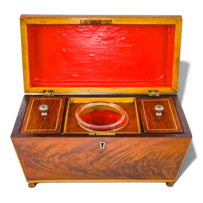 Regency flame mahogany sarcophagus tea caddy