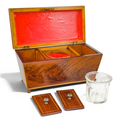 Regency flame mahogany sarcophagus tea caddy