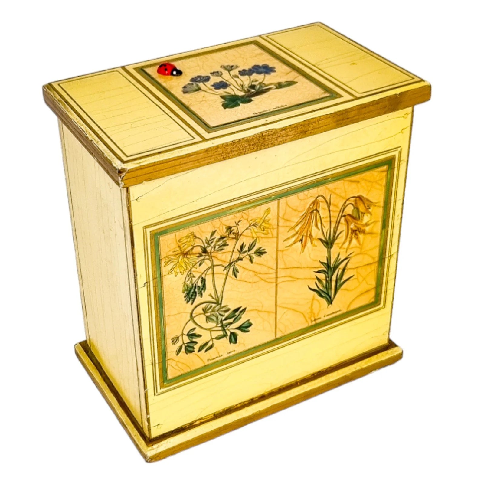 Georgian style rustic painted yellow wood storage box with pull out tray and ladybird