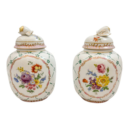 Pair of Royal Europe porcelain ginger jars with moulded lids and hand-painted with flowers