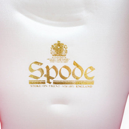 Limited edition Spode bone china chocolate cup & saucer "SS Great Britain" # 413/500