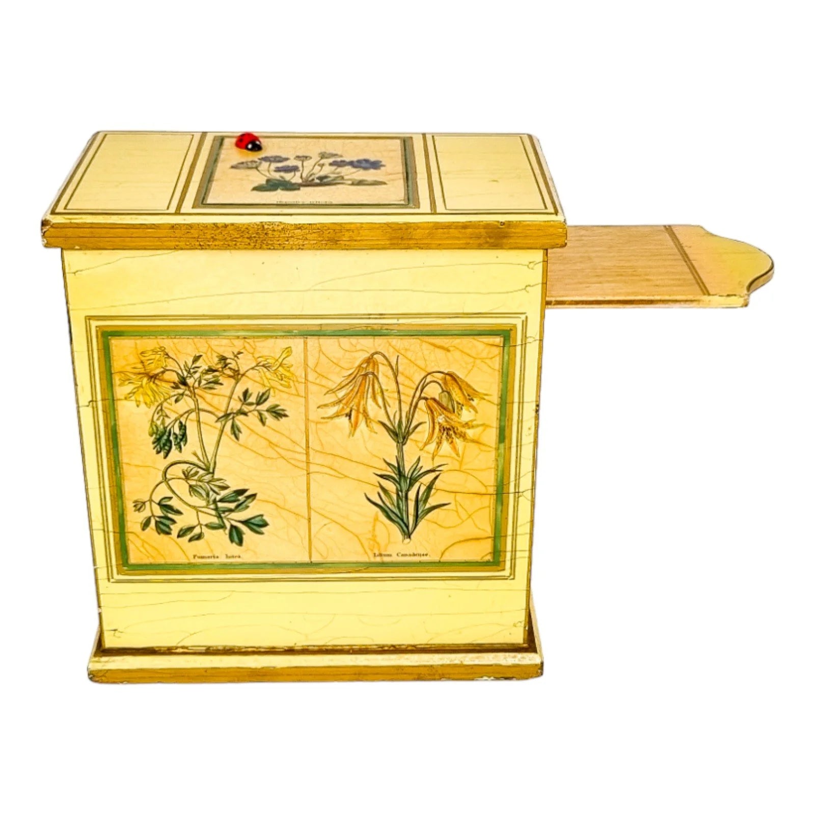 Georgian style rustic painted yellow wood storage box with pull out tray and ladybird