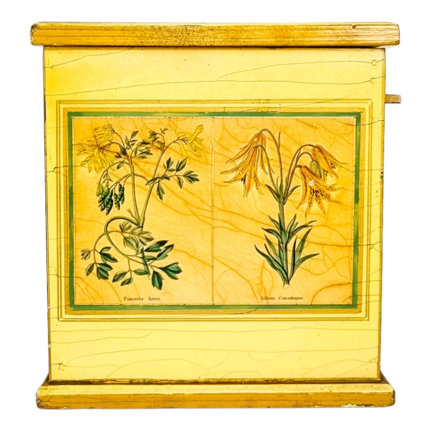 Georgian style rustic painted yellow wood storage box with pull out tray and ladybird