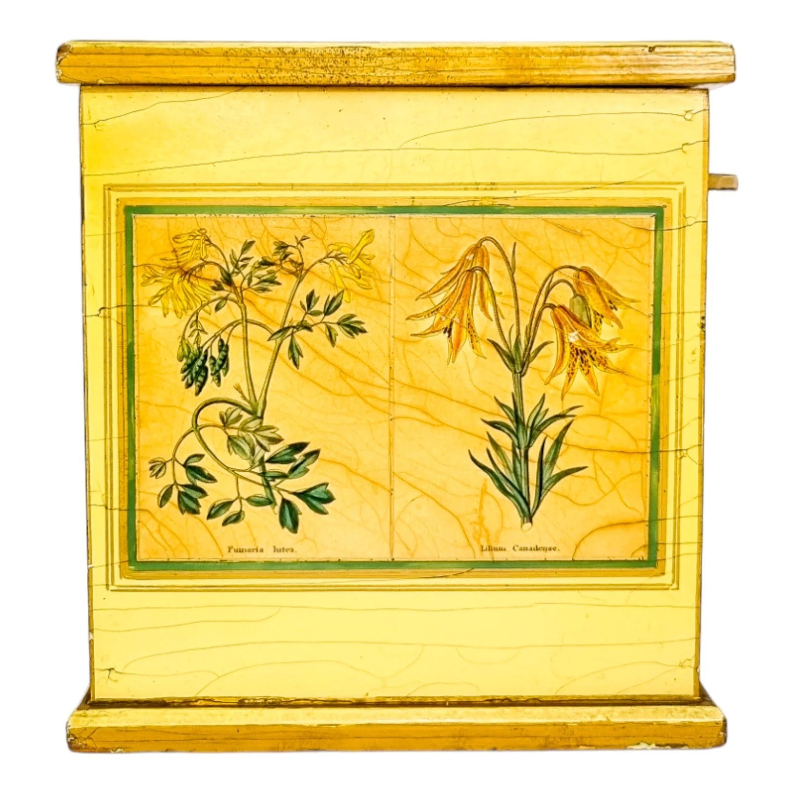 Georgian style rustic painted yellow wood storage box with pull out tray and ladybird