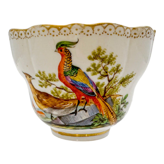 Early 19th century Meissen porcelain "Birds of Paradise" coffee cup and saucer
