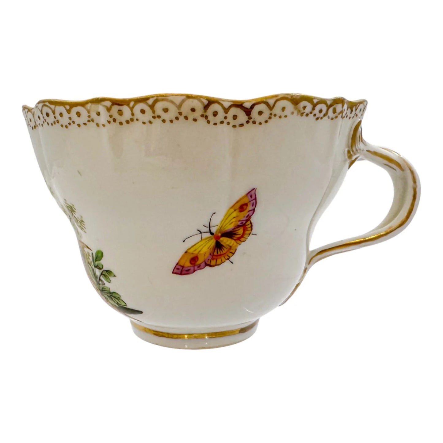 Early 19th century Meissen porcelain "Birds of Paradise" coffee cup and saucer