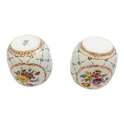 Pair of Royal Europe porcelain ginger jars with moulded lids and hand-painted with flowers