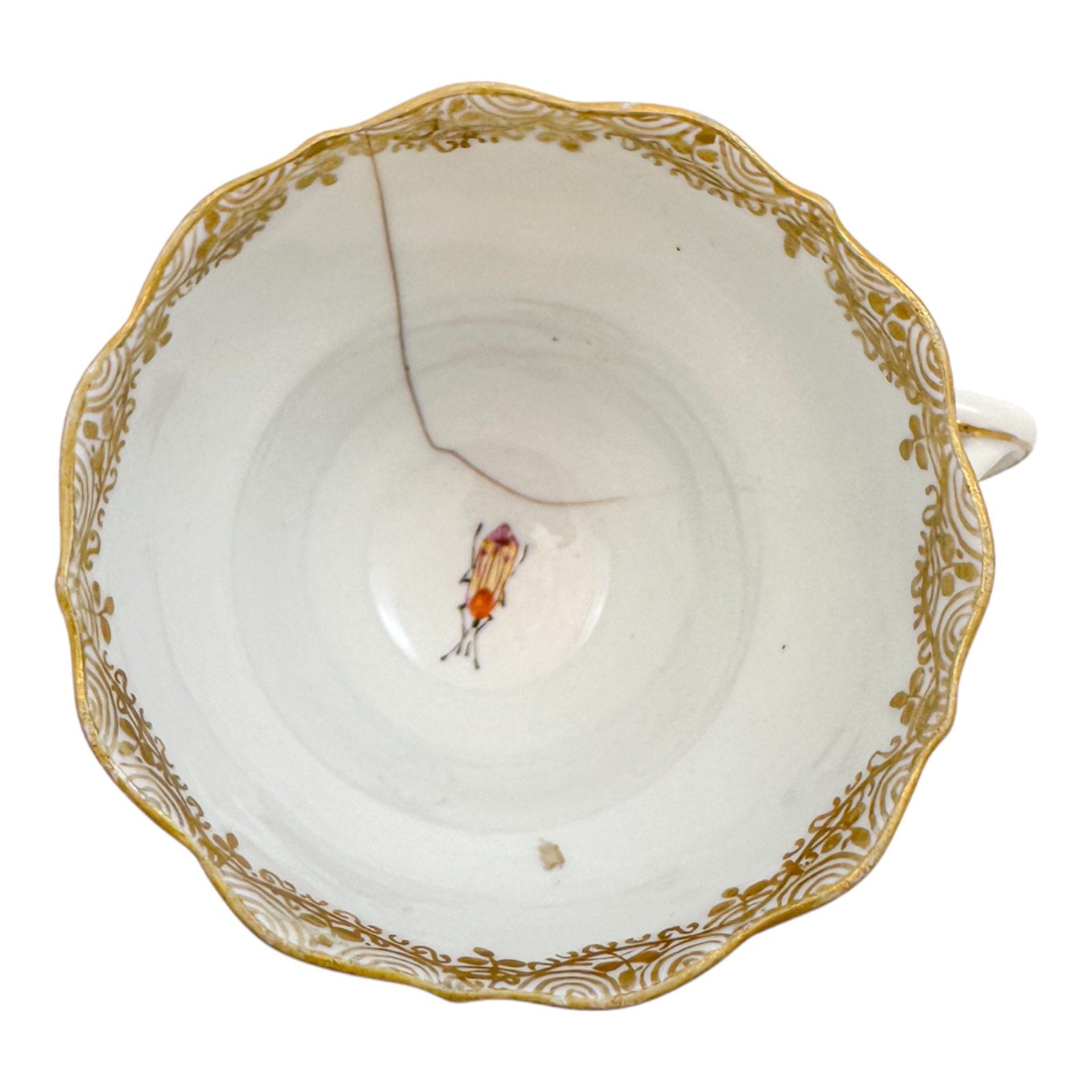 Early 19th century Meissen porcelain "Birds of Paradise" coffee cup and saucer