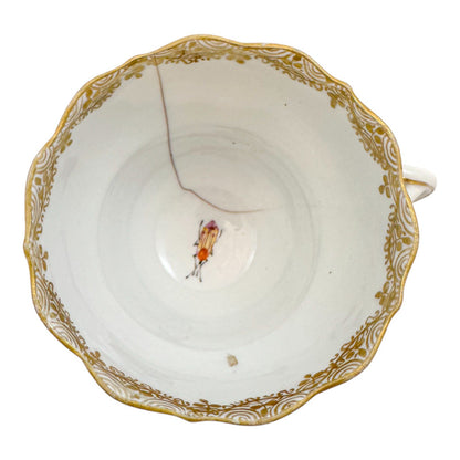 Early 19th century Meissen porcelain "Birds of Paradise" coffee cup and saucer