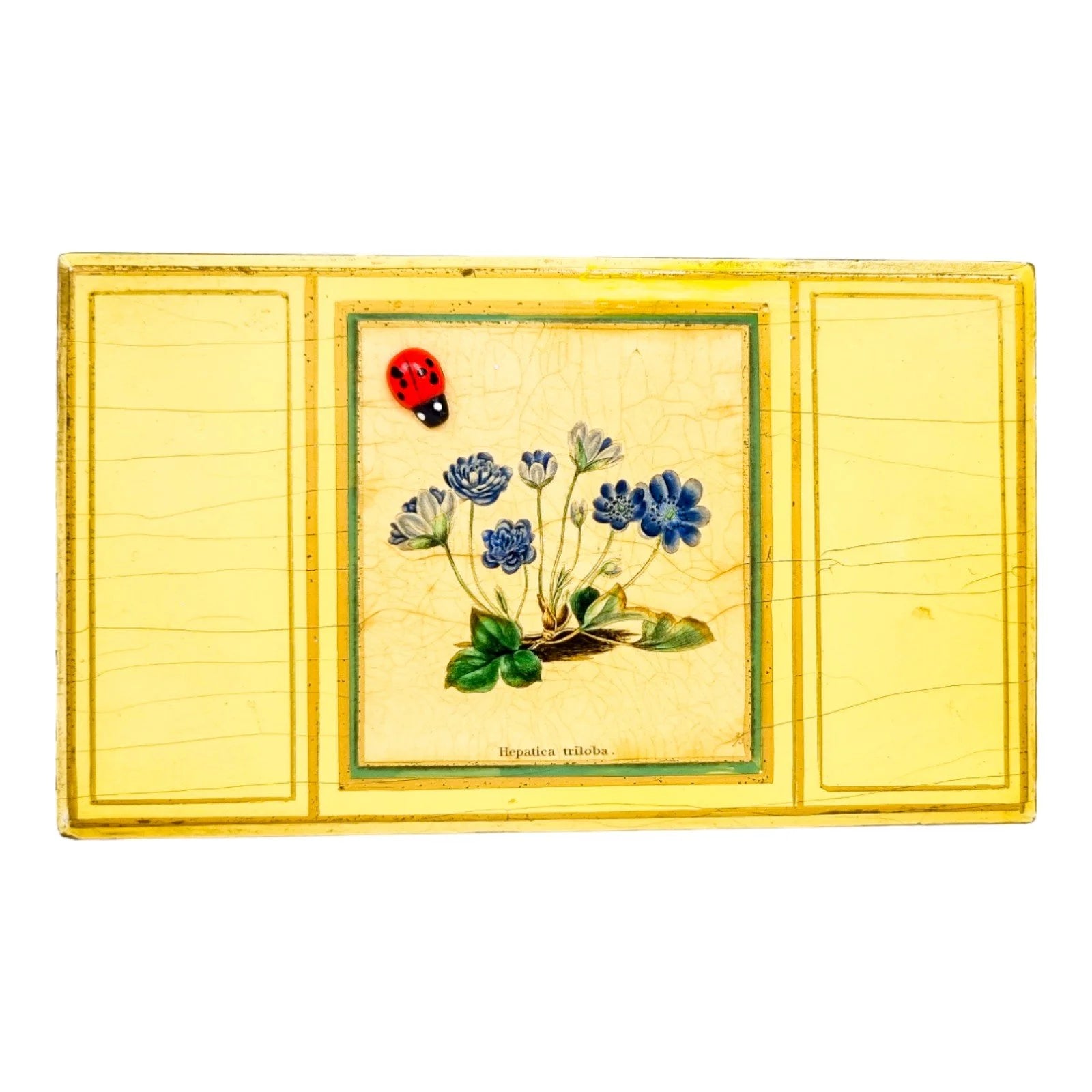 Georgian style rustic painted yellow wood storage box with pull out tray and ladybird