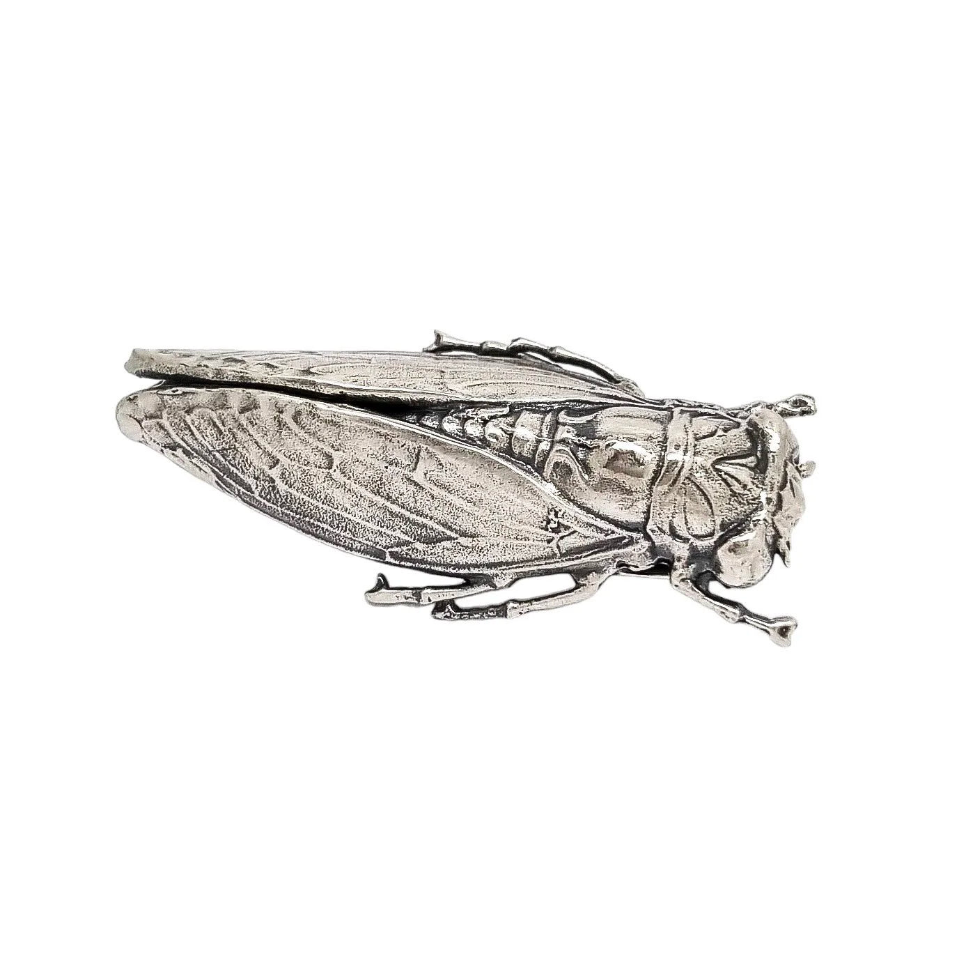 Unusual Art Nouveau sterling silver cicada locust beetle brooch