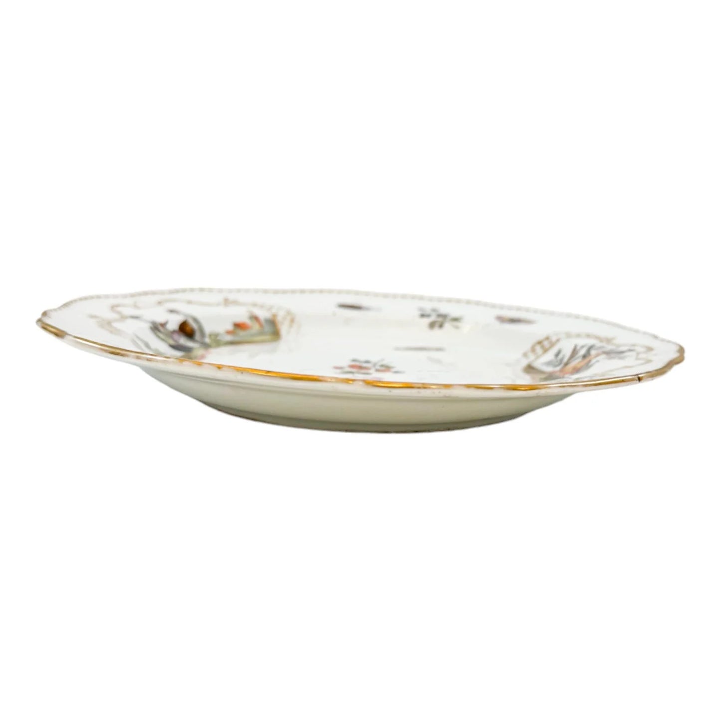 Meissen porcelain bird and insect design plate with gilt scalloped rim