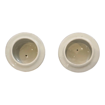 Pair of Royal Europe porcelain ginger jars with moulded lids and hand-painted with flowers