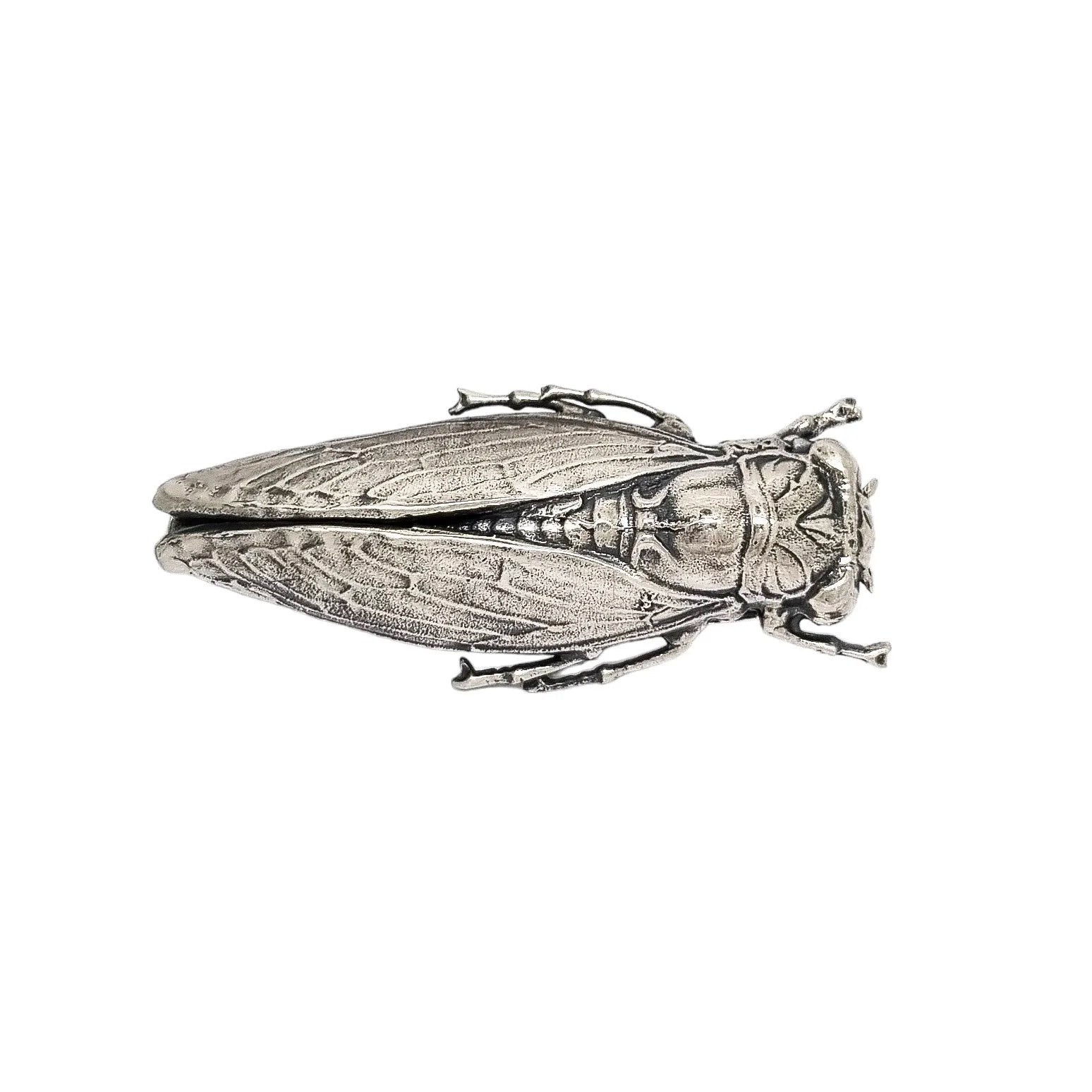 Unusual Art Nouveau sterling silver cicada locust beetle brooch