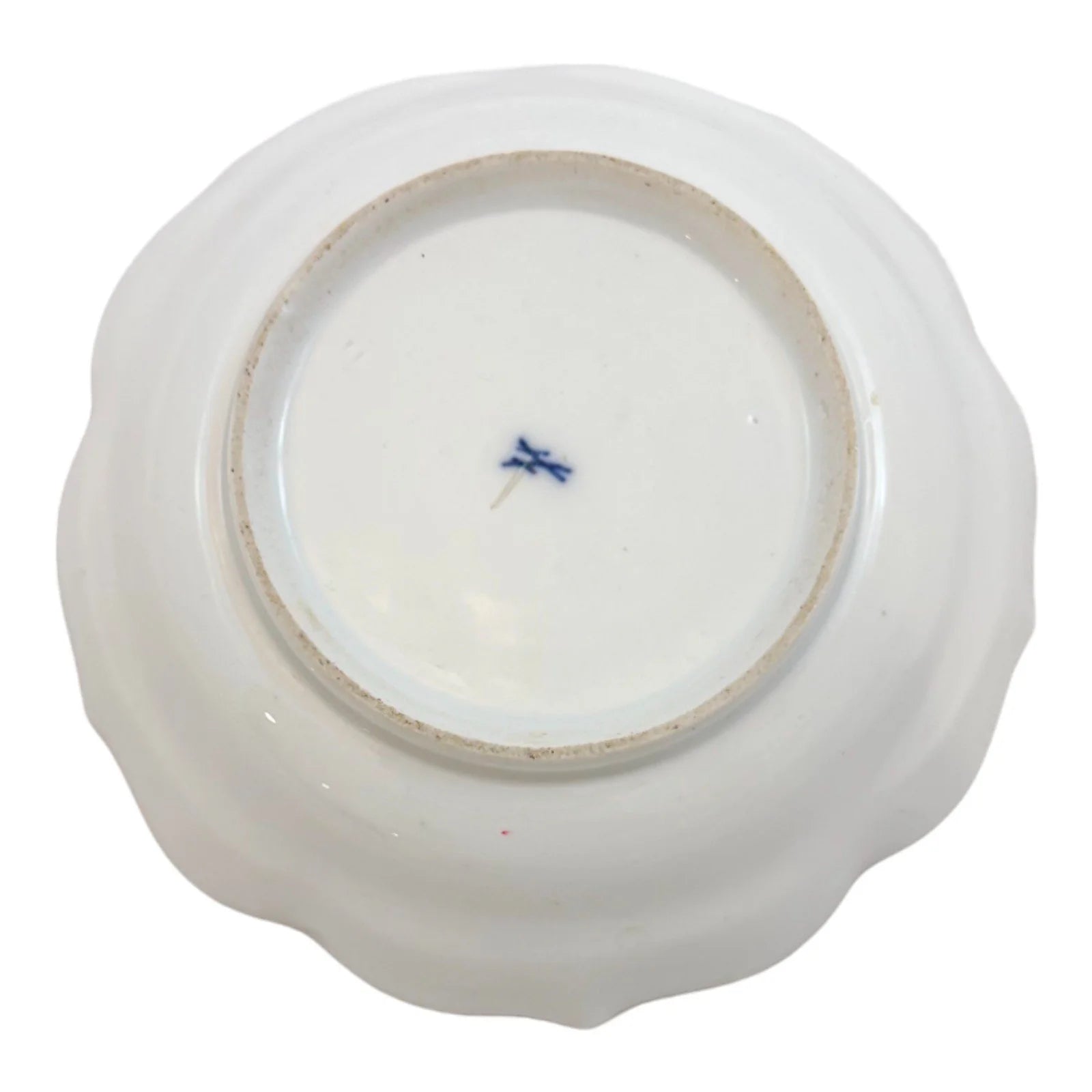 Early 19th century Meissen porcelain "Birds of Paradise" coffee cup and saucer