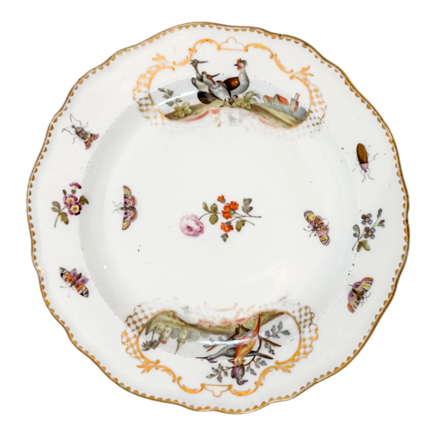 Meissen porcelain bird and insect design plate with gilt scalloped rim