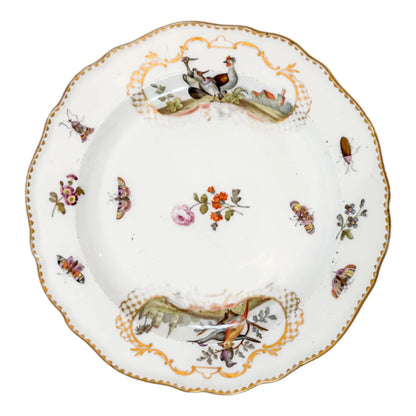 Meissen porcelain bird and insect design plate with gilt scalloped rim