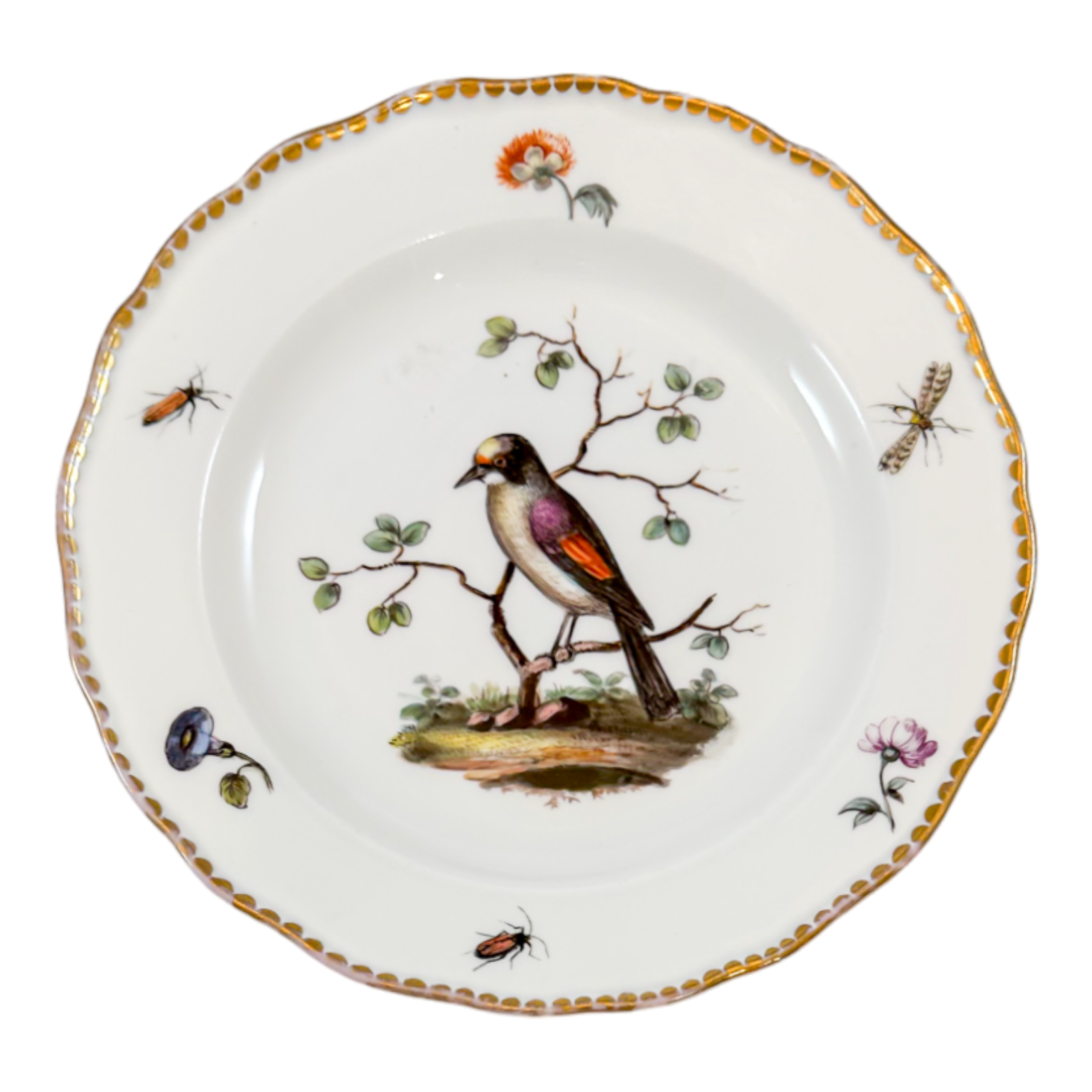 1820's Meissen porcelain scalloped rim plate with decoration of bird, insects and flowers