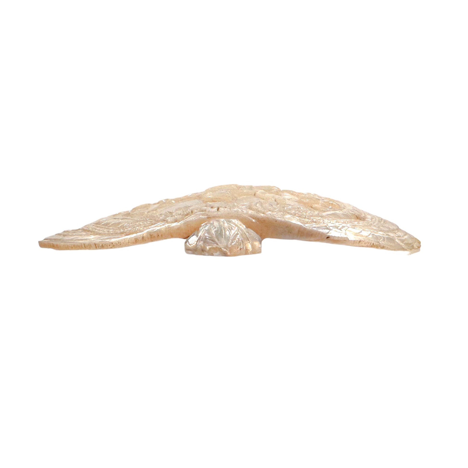 19th century pilgrim's souvenir from The Holy Land, mother of pearl carved shell of Jesus' Resurrection