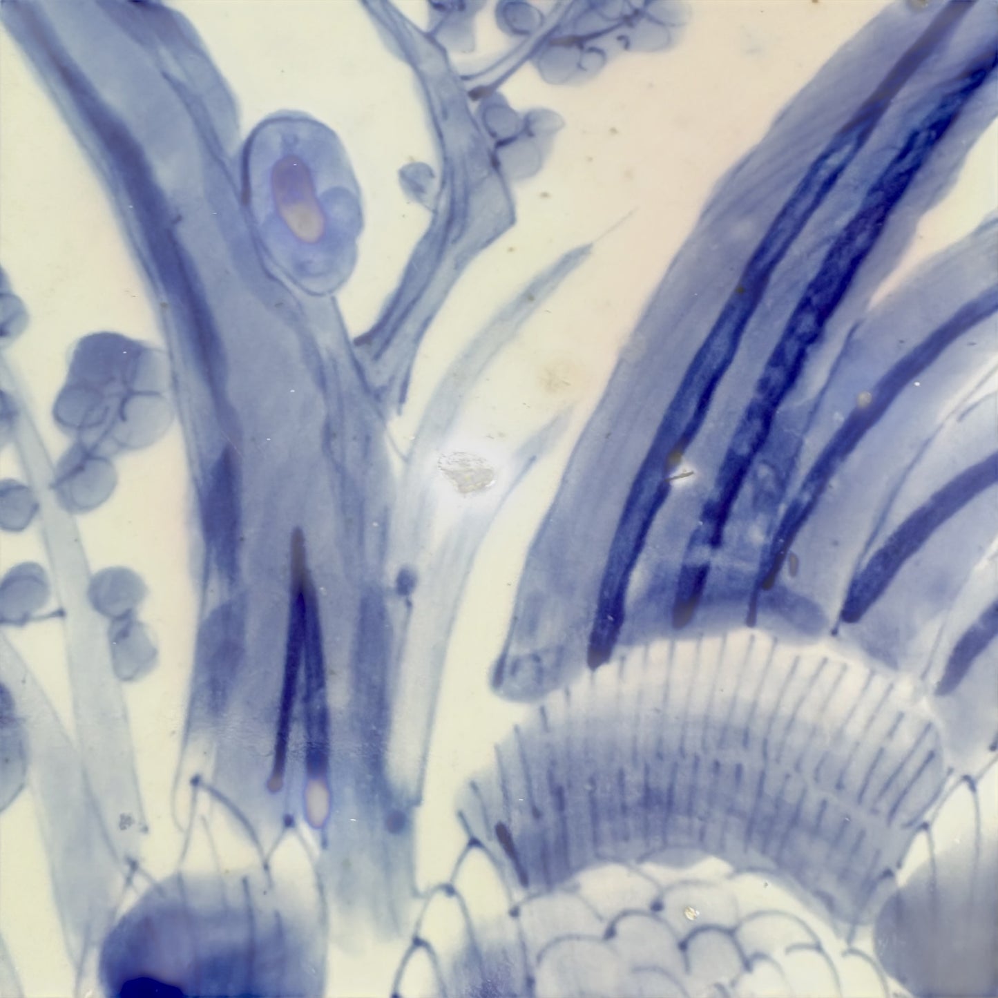 Meiji period Arita blue and white charger with pheasant