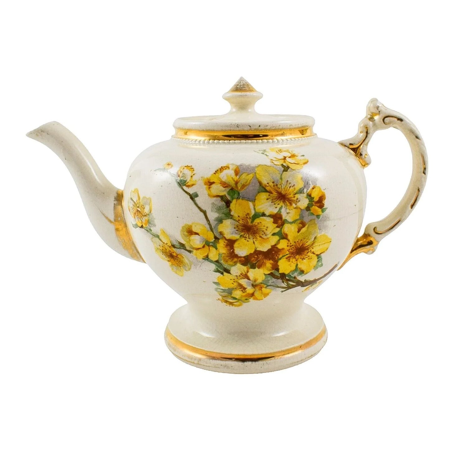 Edwardian pedestal baluster teapot, yellow flowers on cream body, moulded handle